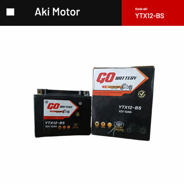 GO MAX BATTERY YTX12-BS