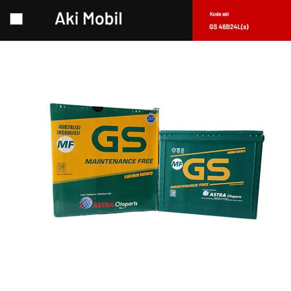 GS 46B24L(s)