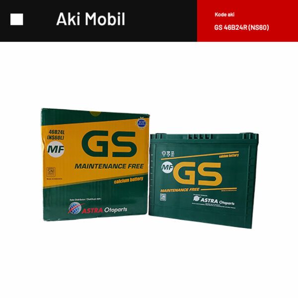 GS 46B24RL (NS60L)