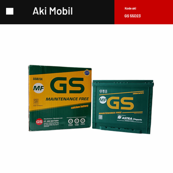 GS 55D23