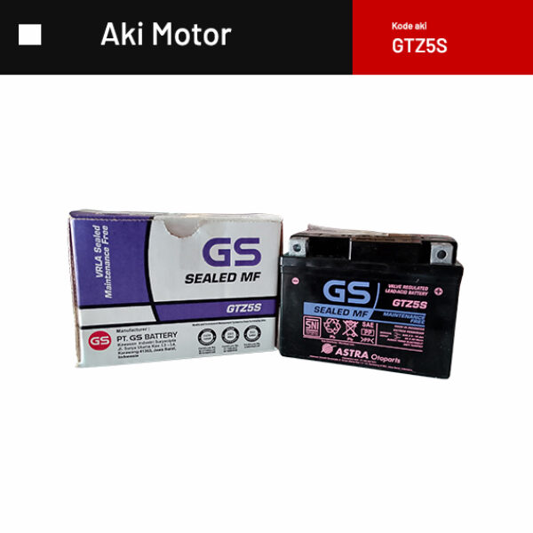 GS BATTERY GTZ5S