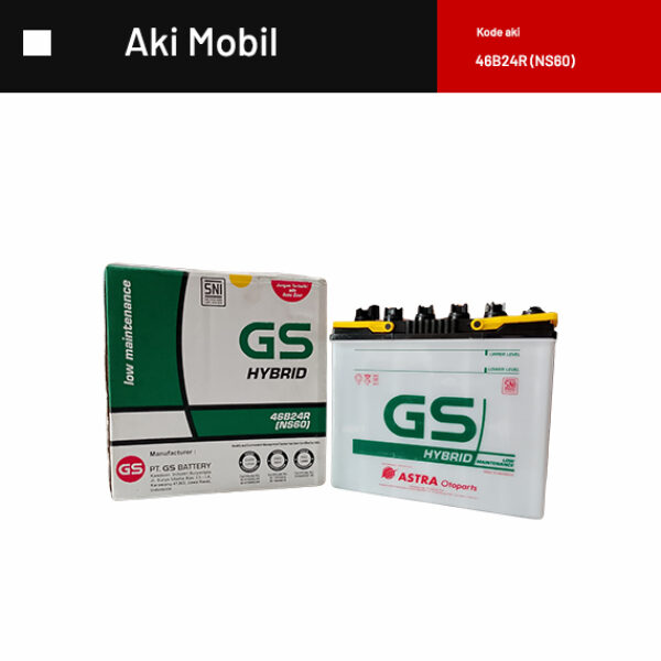 GS HYBRID 46B24R (NS60)