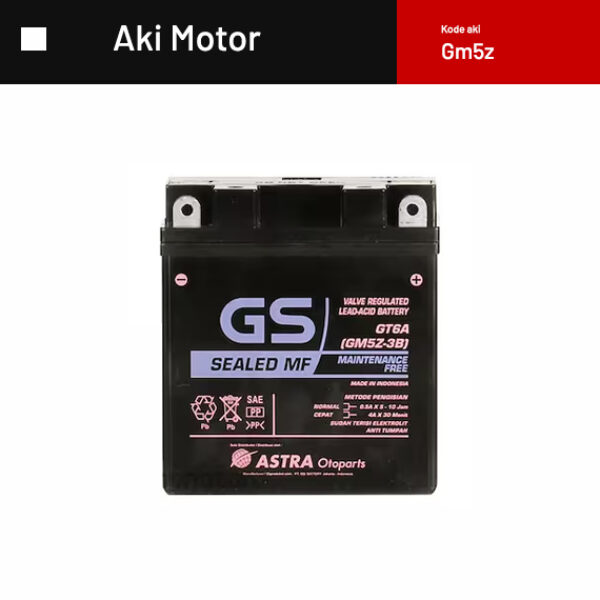 Aki Gm5z